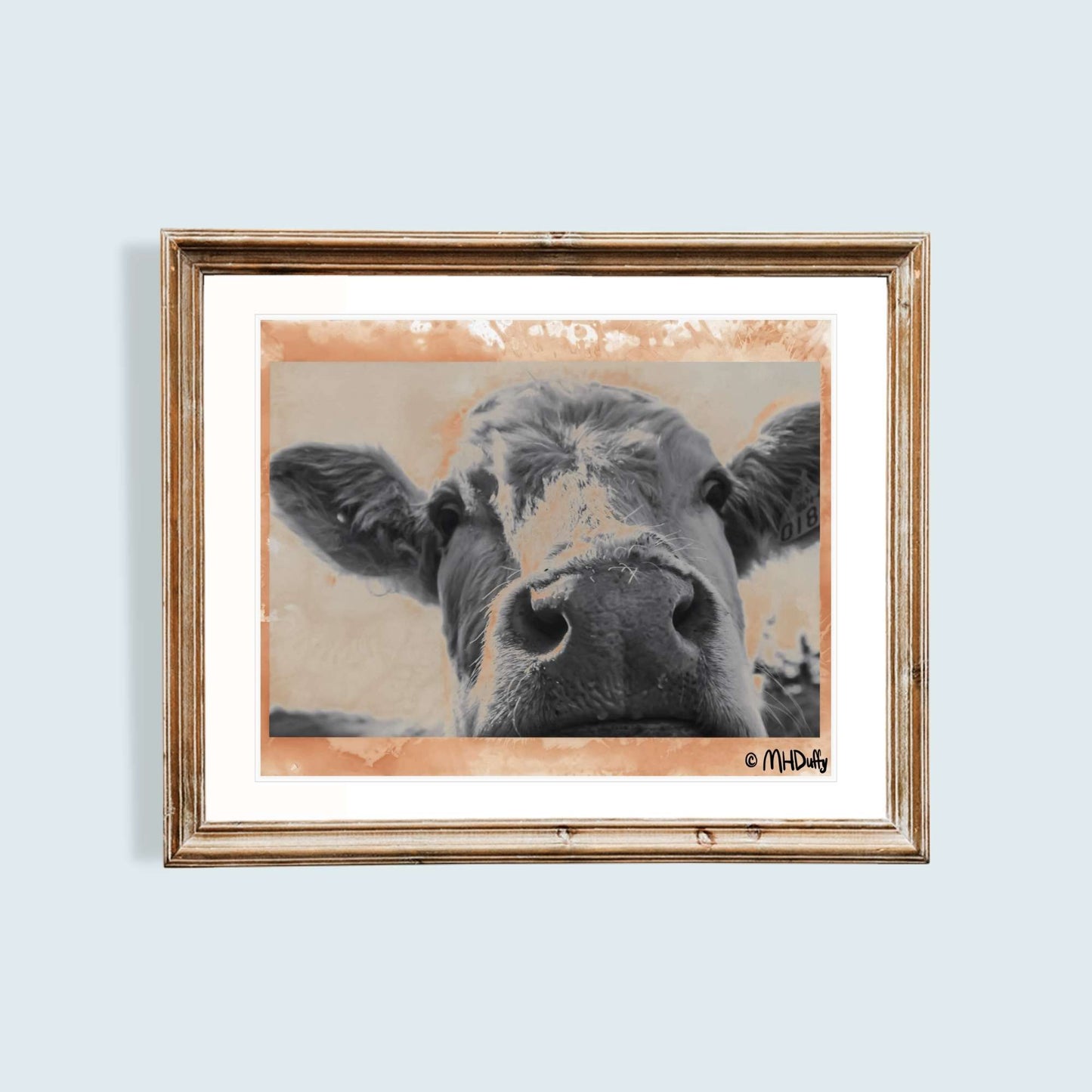 Close up Tea Stained